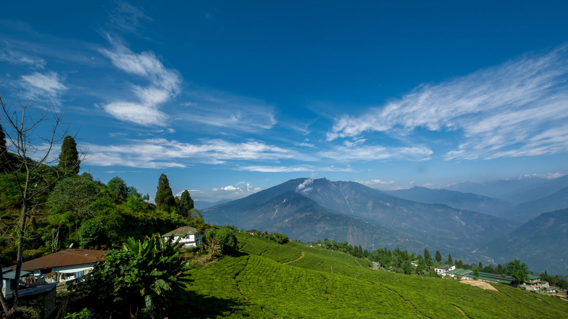 The Sparkling Gems of Sikkim